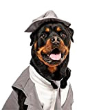 Midlee Hunde-Smoking-Anzug für Hochzeit, Grau, mit Zylinder und Leine (XXXL)