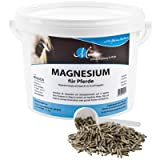 MIGOCKI Magnesium für Pferde Futterergänzung pelletiert 1,5 kg
