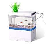 Mini Aquarium-Komplett-Set 2 Liter, inklusive LED-Beleuchtung, Innenfilter und USB, ideal für Krebse, Garnelen und Kleiner Fisch (Blau)