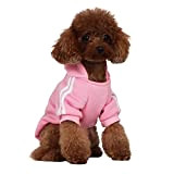 Mode Hund Hoodie Hundekleidung Streetwear Reine Baumwolle Sweatshirt Hund Katze Welpe klein mittelgroß Mode Outfit (Rosa, M)