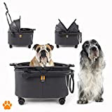MY DUQUE - COCO II – Transportbox für Tiere, geeignet für kleine Hunde und Haustiere bis 8 kg, Hundebuggy mit ...