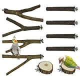 NA Allazone 10 Stück Sitzstangen Vögel, Naturholz Sitzstangen Natürlicher Sitzstangen für Vögel Holz, Vögel Spielzeug Vogel Papagei Schaukel Spielzeug
