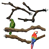 NA Allazone 4 Stück Sitzstangen Vögel, Naturholz Sitzstangen Natürlicher Traubenstab Sitzstangen für Vögel, Vögel Spielzeug Vogel Papagei Schaukel Spielzeug