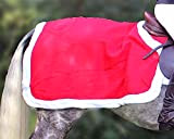 netproshop Weihnachts Nierendecke Pferde Ausreitdecke Fleece mit Rand aus Fellimitat Full, Groesse:Full