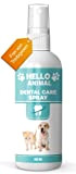 NEU: HelloAnimal® DENTAL Spray für Hunde und Katzen – Zahnsteinentferner auch für Zwischenräume - Zahnreinigung und Zahnpflege – Dentalspray für ...
