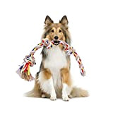 Nobleza - Hundespielzeugseil aus 100% Baumwolle, das der psychischen Gesundheit des Hundes zugute kommt ， Zahngesundheit und Zahnreinigung Arten von ...