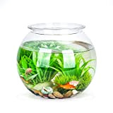 Nobleza - Kugelaquarium Bruchsicherer Kunststoff Fischschale, ideal für Blumen oder als Fischglas, 20 cm