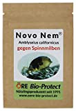 Novo Nem® Ambly. Calif. 1000 Raubmilben - Streuware für 10-20 Pflanzen gegen Spinnmilben an Zierpflanzen, Gemüse und Nutzpflanzen