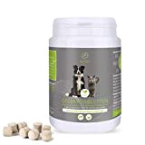 Nutrani Gelenktabletten für Hunde und Katzen | 120 Stück 100% natürliches Ergänzungsfuttermittel mit Grünlippmuschel, MSM, Bierhefe und Ingwer Fördert Mobilität