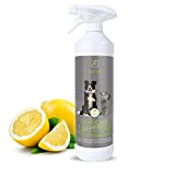 Nutrani Geruchsentferner | 750 ml Natürlicher Enzymreiniger als gebrauchsfertiges Spray mit biologischer Wirkung entfernt Gerüche, Urin, KOT Flecken von Hunden ...