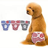 NXL Höschen Hündin Hundehose 3er Pack mit Damenbinde für die Monatsblutung Waschbare Schutzhöschen Hundewindeln schutzhose 5 Größe für Hündinnen und ...