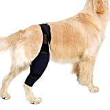 ODOORACT Knieschützer für Hunde, Rehab-Knieschutz für Hunde, Karpalgelenk Schutz Bandage für Hunde für Kreuzbandverletzungen, Ausgerenkte Kniescheiben, Arthrose XL