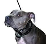 Original Illusion Collar Trainingshalsband & Leine des amerikanischen Hundeflüsterer Cesar Millan, Größe S, Schwarz
