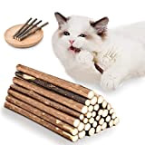 OSDUE 32 Stück Katzenminze Sticks, Matatabi-Kausticks, Katzenminze Spielzeug Katzen Kauhölzer Sticks für Katzen Zahnpflege & Gegen Mundgeruch Natürlich Sicher Katzensticks ...