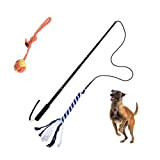 Paquet Reizangel Hunde mit extra Seil. ausziehbar robuste Flirt Pole, hochwertige Teleskopstange, kleine und Grosse Hunde wie Katzen,Hundespielzeug, Welpenspielzeug, Hundetrainig, ...