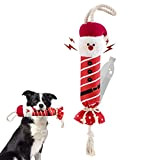 Pawaboo Hundespielzeug, Weihnachtsmann Hund Kauspielzeug mit Seil und Einsteckbarem Wasserflaschendesign Quietschspielzeug, Keine Füllung Interaktives Spielzeug Plüschspielzeug für Mittelgroße Hunde