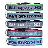 Personalisierte Hundehalsband, benutzerdefinierte Hundehalsband mit gestickten ID Pet Name & Telefonnummer, Breakaway REFLECTIVE Hundehalsband mit 4 einstellbaren Größen: XS, S, ...