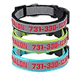 Personalisiertes Hundehalsband, individuell gestickte ID-Hundehalsbänder Reflektierende Nylon-Sicherheitshundehalsbänder Name Telefonhalsband für großen mittelgroßen kleinen Hund (Blaugrün)