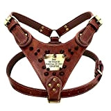 Personalized Leather Pet Dog Harness Custom Durable Dog Vest Harnesses for Medium Large Dogs Adjustable Spiked Pitbull Harness (Color : ...