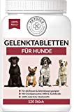 Petgold 120 Gelenktabletten Hund – Hoch konzentrierte Hunde Tabletten für Gelenke – Grünlippmuschelpulver MSM & Teufelskralle – Gelenk Tabletten für ...