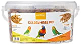 petifool Kolbenhirse rot 500g - Einzelfuttermittel für alle Ziervögel - Vogelfutter - 100% Natur
