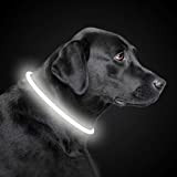 PetIsay LED Leuchthalsband Hund Halsband USB wiederaufladbar, Längenverstellbarer Haustier Sicherheit Kragen für Hunde und Katzen, 3 Modus(Weiß)