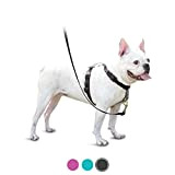 PetSafe 3in1 Harness, from The Makers of The Easy Walk Harness, Fully Adjustable No-Pull Dog Harness