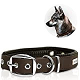 PetTec Halsband für große & kleine Hunde aus Trioflex™ | wetterfest & verstellbar in Farbe | Hundehalsband in Rot, Braun, ...