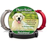 PheroRelax beruhigendes Halsband für Hunde I Natürliches Beruhigungsmittel für Hunde mit Pheromonen bei Angst, Stress und Aggressivität I 60Tage Wirkzeit ...
