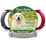PheroRelax Hundehalsband mit Pheromonen I Wirkt 60Tage I Beruhigungshalsband für Hunde I Natürliches Beruhigungsmittel für Hund bei Angst, Stress und ...