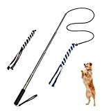 POPETPOP Interaktive Hundespielzeug Hunde Draussen Angel Kauspielzeug mit 2 Seil Hundeangel Pole Haustier Teaser für Training Übung (Größe L)
