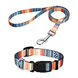 Popuppe Welpenhalsbänder mit Leine Set,Hundehalsband Verstellbares Weich & Komfort Nylon Hunde Halsband für Kleine Mittlere Hunde Welpen Katzen (S, Orange)