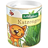 Premium Katzengras Samen Chrestensen Gartenkinder, Grassamen schnellkeimend mit Anleitung für Kinder, 1 Dose für ca. 2 - 2,5 m² Katzengras ...