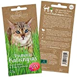 PRETTY KITTY Katzengras Saatgut : 1 Beutel je 25g Katzengras Samen für 10 Töpfe fertiges Katzengras – Natürliche Katzen Leckerlies ...