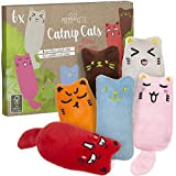 PRETTY KITTY Minz Miezen: Katzenspielzeug Set aus 6 Katzenkissen mit Katzenminze – Katzen Kissen für Katzen – Getrocknete Katzenminze Spielzeug ...