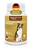 Probiotika Hund ideal mit Präbiotika - Qualität Made in Germany - Darmsanierung Hund durch Probiotika für Hunde - Beim Hund ...