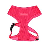 Puppia Hundegeschirr in Neonfarben - Hochwertig und Komfortabel - Auch als Welpengeschirr verwendbar Pink XS PAPA-AC1325 Authentic Neon