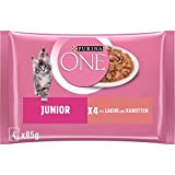 PURINA ONE Junior Kittenfutter nass, zarte Stückchen in Sauce mit Lachs & Karotten, 12er Pack (12 x 4 à 85g)