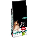 PURINA PRO PLAN Medium Adult Hundefutter trocken mit OPTIDIGEST, reich an Lamm, 1er Pack (1 x 14kg)