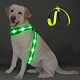 PZRLit LED Hundegeschirr Leuchtend für Hunde, Leuchtgeschirr Hundeweste Wiederaufladbar, Weich Gepolstert, Verstellbar und Reflektierend, Beleuchtetes Hundegeschirr (Grün, Groß)