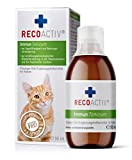 RECOACTIV Immun Tonicum für Katzen, 1 x 90 ml, Diät-Ergänzungsfuttermittel zur Immununterstützung und Vorbeugung bei Mangelerscheinungen, wirkungsvoller diätischer Appetitanreger