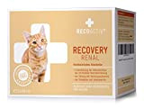 RECOACTIV Recovery Renal für Katzen, 3 x 90 ml, hochkalorisches Diät-Alleinfuttermittel bei Nierenfunktionsstörungen und erhöhtem Energiebedarf in der Rekonvaleszenz, zur ...