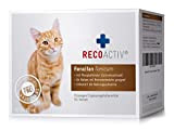RECOACTIV Renaltan Tonicum für Katzen, 3 x 90 ml, Ergänzungsfuttermittel mit Phosphatbinder zur Reduktion des Phosphatgehalts in der Nahrung bei ...