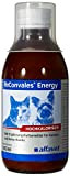 ReConvales Energy 180 ml- Diät-Ergänzungsfuttermittel zur Gabe in der Rekonvaleszenz, bei Untergewicht und bei der hepatischen Lipidose der Katze