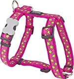 Red Dingo Designer Hundegeschirr, limettengrüne Sterne auf Hot Pink, 15mm x Halsumfang: 30-48cm / Körper 36-54cm Größe S