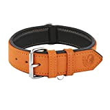 Riparo Echtes Leder Verstellbares K-9 Hundehalsband mit Zusätzlicher Verstärkung (XXL: 5CM Breit für 60,9CM - 73,7CM Hals, Orange)