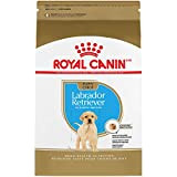 Royal Canin Breed Health Nutrition Labrador Retriever Puppy Dry Dog Food, 30-Pound by