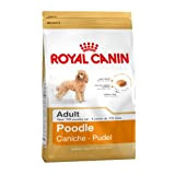 Royal Canin Erwachsenen Komplette Hundefutter Für Pudel (1,5 Kg)