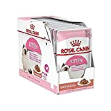 Royal Canin Feline Portionsbeutel Health Nutrition Kitten Soße 12 x 85g