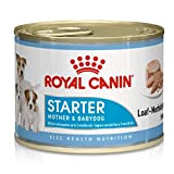 Royal Canin Hundefutter Starter mousse, 195g, 12-er Pack